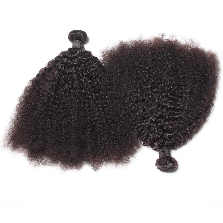 Afro kinky curly 2 bundles