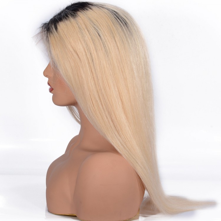 Straight Lace Front Wig T1B613