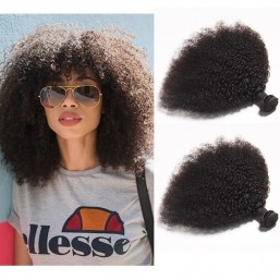 DSoar Hair Afro Kinky Curly Brazilian Virgin Hair 2 Bundles