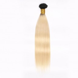 Ombre Body Wave T1B 613