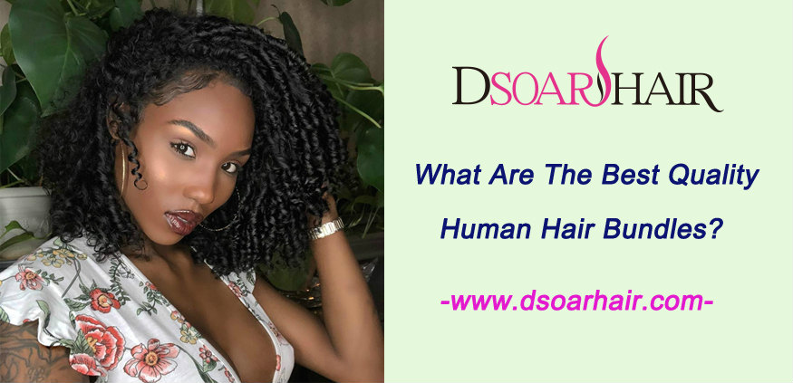 What Are The Best Quality Human Hair Bundles? | DSoar Hair